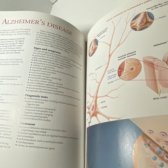 NEW Anatomical Chart Company Atlas of Pathophysiology Hardcover Color Pristine - Picture 14 of 16